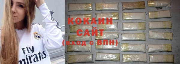 мяу мяу мука Михайлов