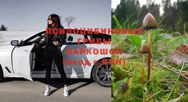 спиды Абдулино