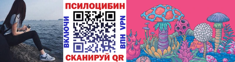 Псилоцибиновые грибы Psilocybe  хочу   Фрязино 