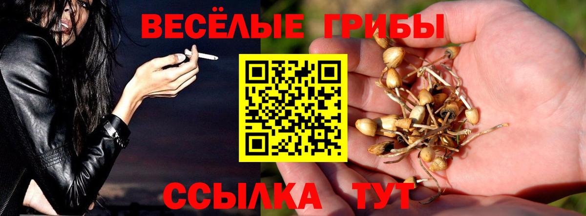 где найти наркотики  Галлюциногенные грибы Cubensis  Вход с VPN  Псилоцибиновые грибы ЛСД  Фрязино 